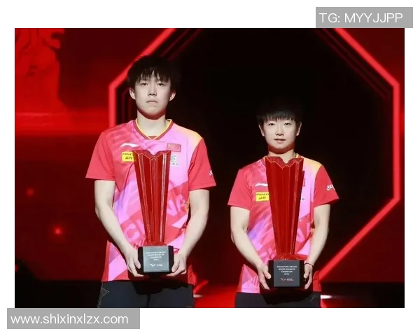 杭州乒乓球队个人能力全面分析与大满贯赛事表现评析